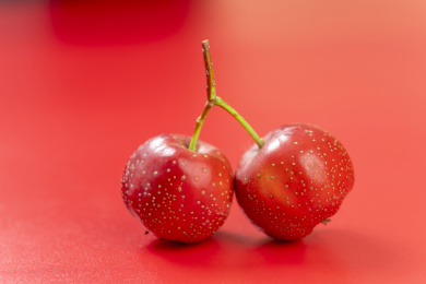 山楂红果特写红色背景