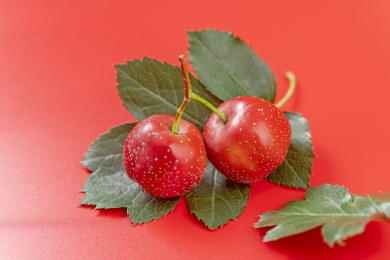 山楂红果特写红色背景