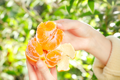手上拿着剥开皮的薄皮桔