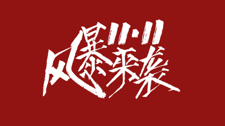 风暴来袭1111汉字书法字体设计中国风