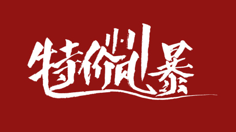 1111特价风暴汉字书法字体设计中国风
