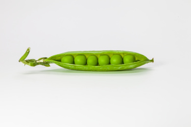 白色背景前的豌豆荚