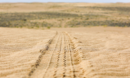 沙漠中的轮胎印