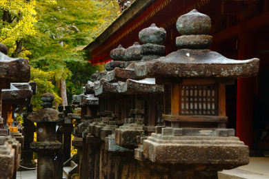 日本奈良县奈良公园春日社