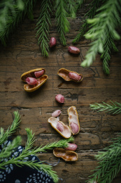 几颗剥开的花生