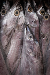 市场上一堆拥挤的带鱼