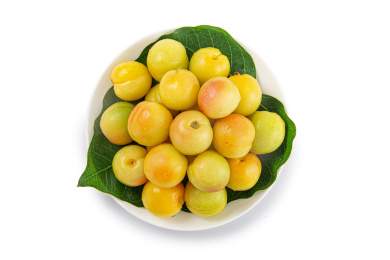 新疆小白杏带绿叶子装白盘白底