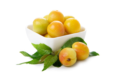 新疆小白杏带绿叶子装白盘白底