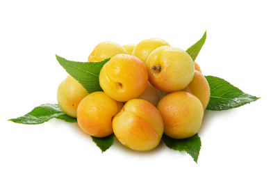 新疆小白杏一堆带绿叶子白底