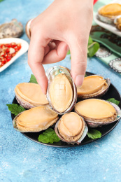 蓝底上放着一盘鲍鱼和手上拿着一个鲜鲍鱼