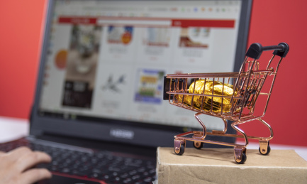 网购购物节网上买东西