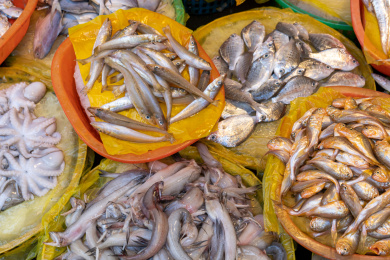 菜市场上的海鲜摊