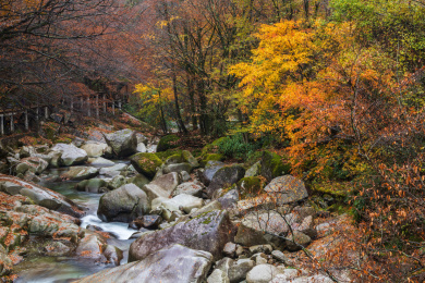 中国四川巴中南江光雾山大坝景区红叶