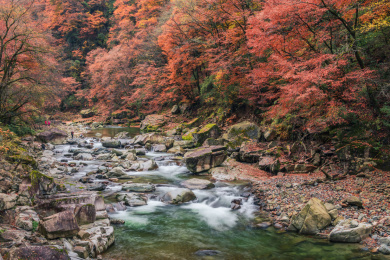 中国四川巴中南江光雾山大坝景区红叶