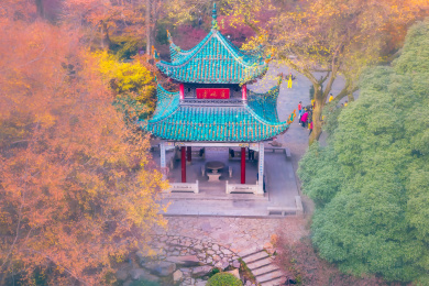 中国湖南长沙岳麓山爱晚亭秋色