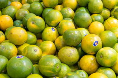 水果摊位上的水果