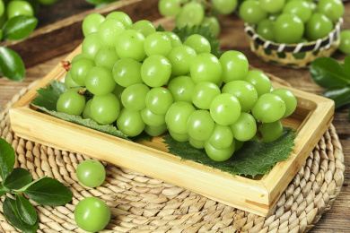 草编垫上放着一盘云南香印青提