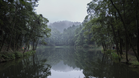 秋雨蒙蒙的中国重庆北碚缙云山黛湖风光