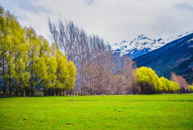 新西兰天堂牧场航