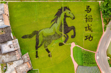 中国广东省罗定市罗平镇长岗坡渡槽