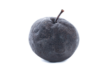 白底上放着一个完整的大冻梨