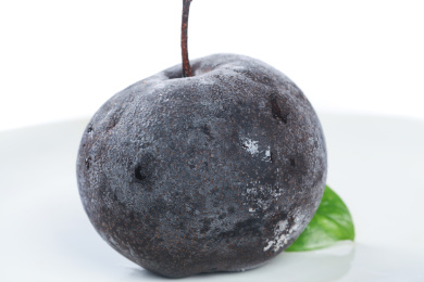 白底上放着一个完整的冻梨