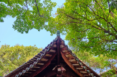 中国广州五仙观旅游风景区寺庙古建筑