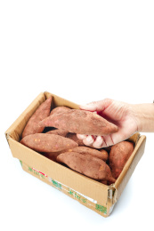 白底上放着一箱白心蜜薯和手上拿着一个蜜薯