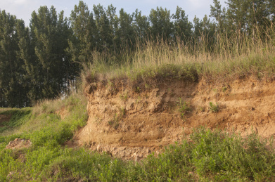 水土流失造成的断崖坡地
