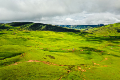 中国西藏芒康G214川藏公路拉乌山垭口草