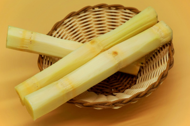 放在橙色背景中的一篮甘蔗