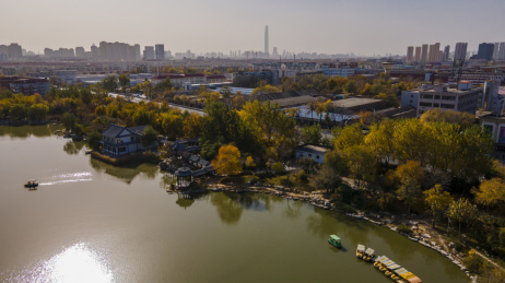 中国天津南开长虹生态园湖边凉亭长廊航拍鸟