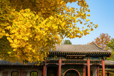 中国山西太原晋祠公园秋景