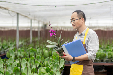 一个男性东方人在花卉种植大棚里
