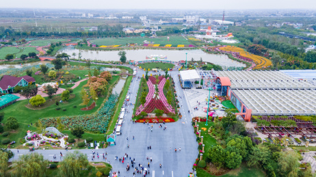 航拍中国江苏省盐城大丰荷兰花海景区入口