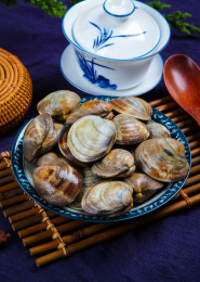 海鲜食材鲜活花蛤蜊