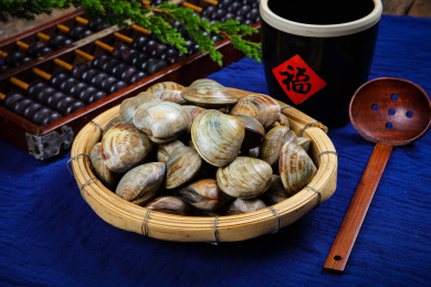 海鲜食材鲜活花蛤蜊