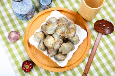 海鲜食材鲜活花蛤蜊
