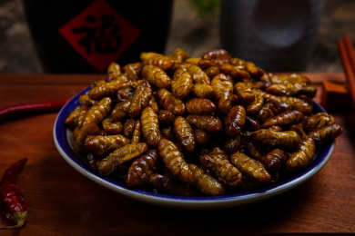 美味下酒菜香酥蚕蛹