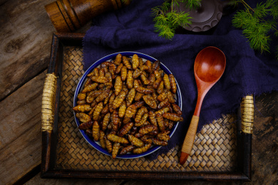 特色美食香炸蚕蛹