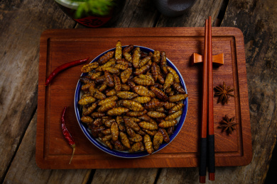 特色菜油炸昆虫香酥炸蚕蛹