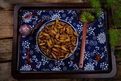 美味下酒菜香酥蚕蛹