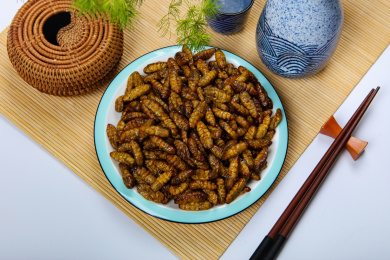 美味下酒菜香酥蚕蛹