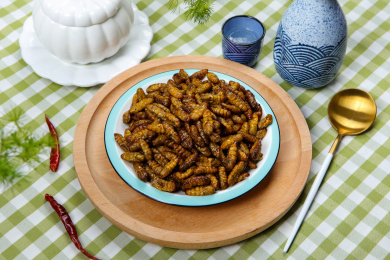 特色菜油炸昆虫香酥炸蚕蛹