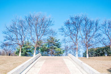 晴朗环境中的户外楼梯台阶