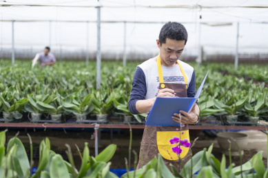 蝴蝶兰园中一名东方男性技术人员在观察记载