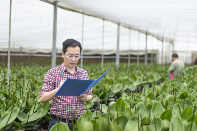 兰园中一名东方男性技术人员在观察记载