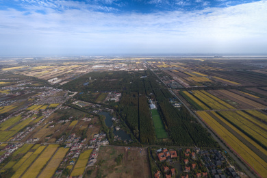 俯瞰中国上海崇明东平国家森林公园全景