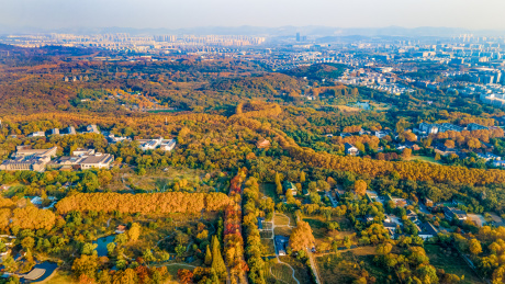 航拍秋天的中国江苏南京明孝陵神道与美龄宫全景