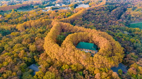 航拍江苏省南京美龄宫秋景